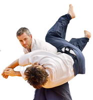 Sensei aikido Alsace arts martiaux self defense